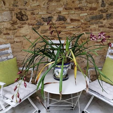 Apartamento El Sosiego Sanlúcar de Barrameda Екстериор снимка