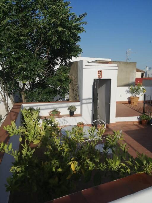 Apartamento El Sosiego Sanlúcar de Barrameda Екстериор снимка